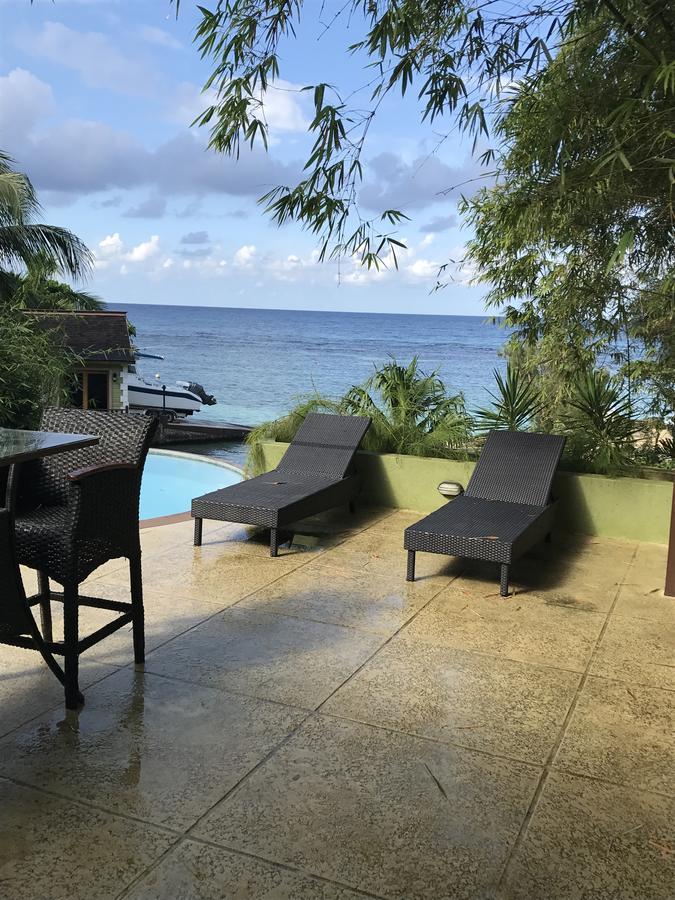 Alexanders Penthouse On The Beach Ocho Rios Kültér fotó